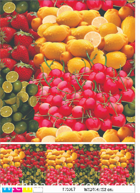 Colorful PVC Printed Transparent Tablecloth with Fruit Design for Home/Party/Outdoor